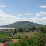 KONICA MINOLTA DIGITAL CAMERA